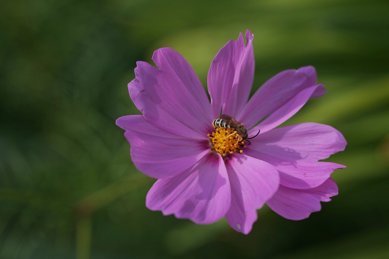 AI의 미래를 그려보는 시간